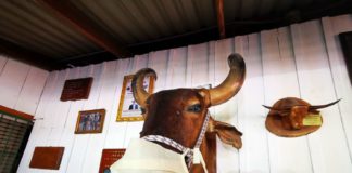 Heisse Steaks am Vulkan Arenal