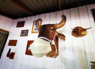 Heisse Steaks am Vulkan Arenal