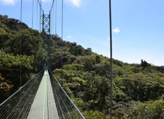 Costa Rica – Aktiv in den Nebelwäldern von Monteverde