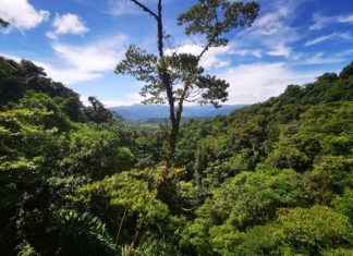 So grün ist Costa Rica!