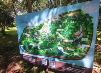 Reisetagebuch aus dem Mistico Park in La Fortuna