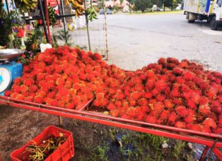 Der Rambutan: Fruchtig-lecker
