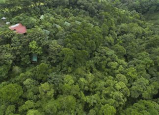 travel-to-nature eröffnet erfolgreich Regenwaldschule in Costa Rica