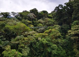 Costa Rica Greentech-Programm sucht Startups