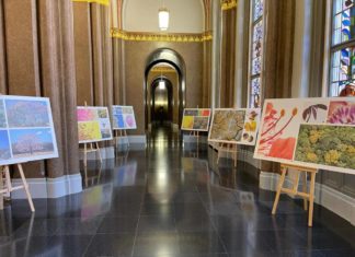 „Magische Bäume“ – Costa Rica Ausstellung in Berlin