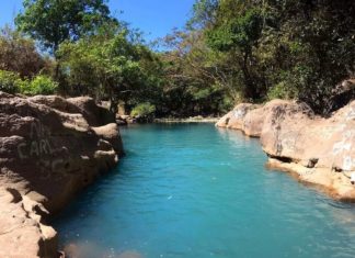 Naturpool mit spektakulären Farben!