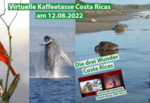 Virtuelle Kaffeetasse Costa Ricas am 13.08.2022