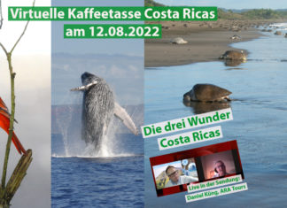 Virtuelle Kaffeetasse Costa Ricas am 13.08.2022