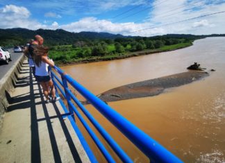 Rio Tarcoles – Ganz schön bissig / Crocodile Watching auf der Crocodile Bridge