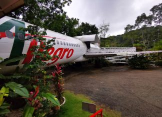 Abgefahren: Mitten im Dschungel im Flugzeug übernachten